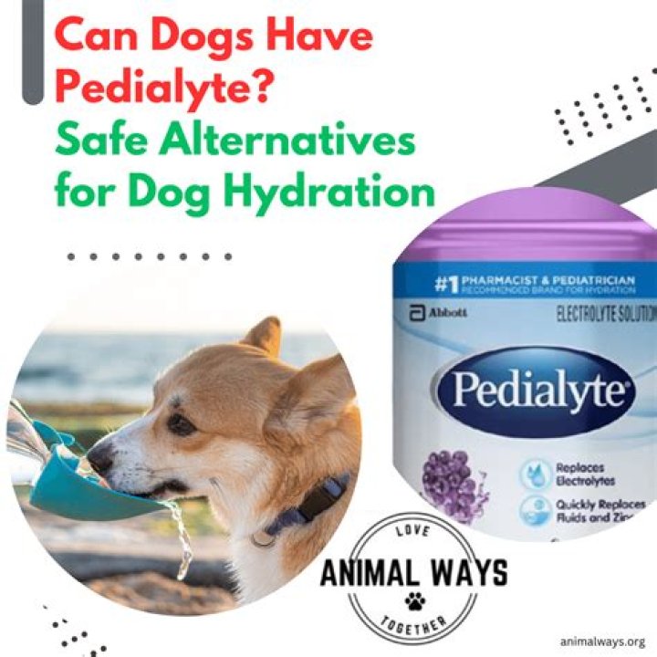 Can dogs have Pedialyte?