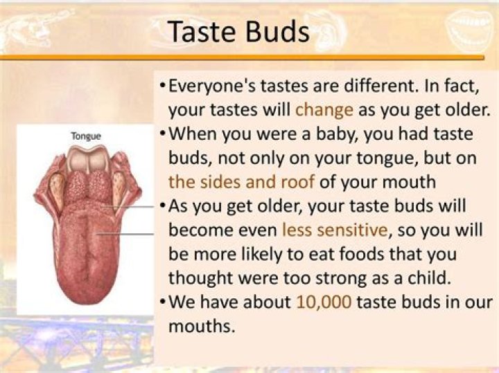 Do you get more taste buds as you age?
