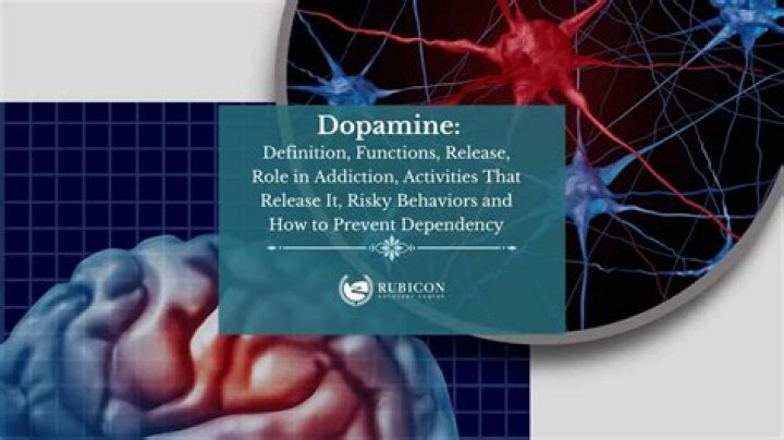 Does fantasizing release dopamine?