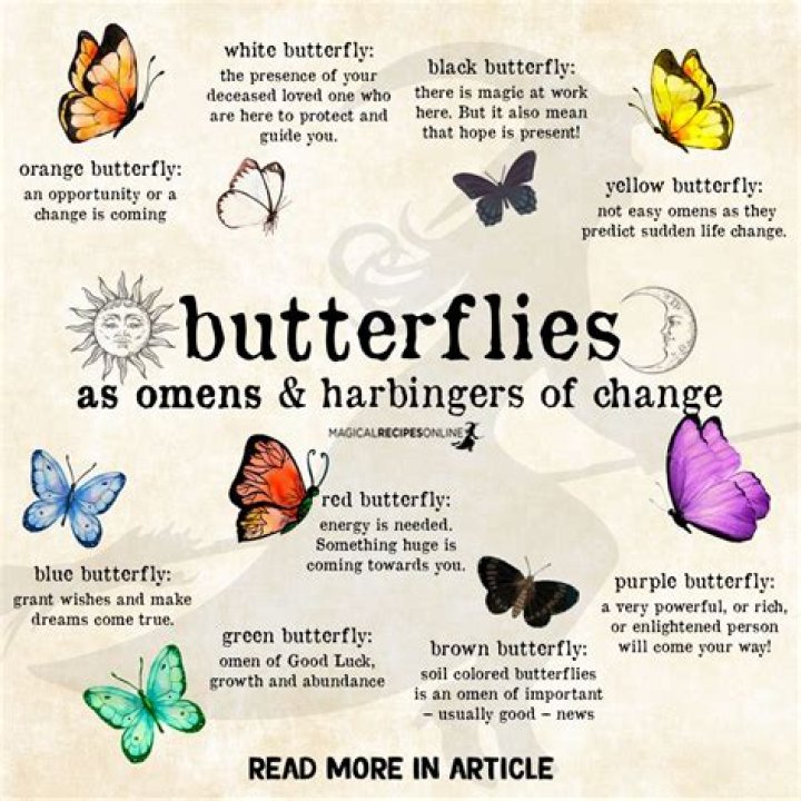 How do butterflies represent freedom?