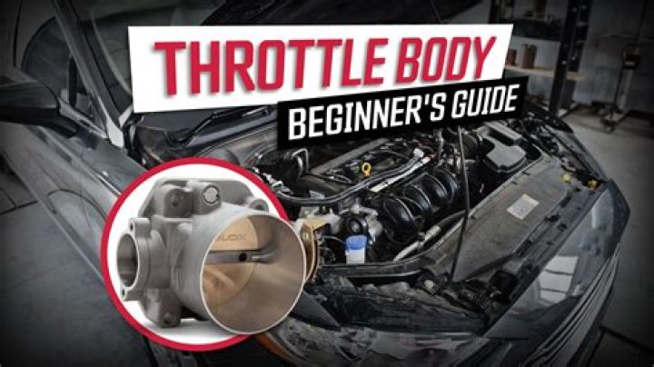 How much HP does a throttle body add?
