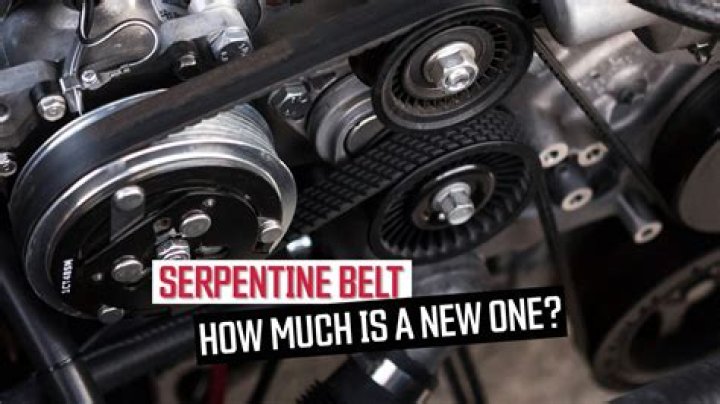 How often should alternator belt be replaced?