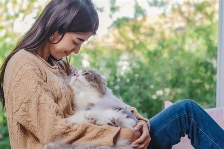 Is it OK to leave a cat alone for 12 hours?
