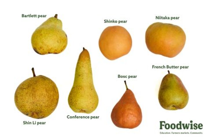 Is pear a true fruit?