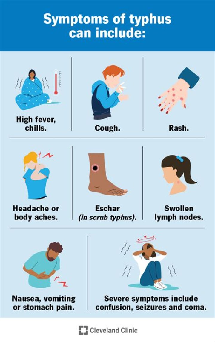 Is typhus the same as typhoid?