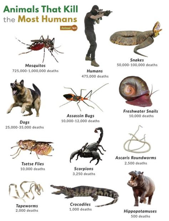 What animals can eat humans whole?