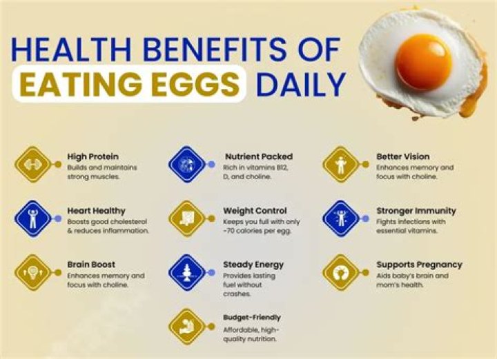 What are the benefits of eating egg daily?