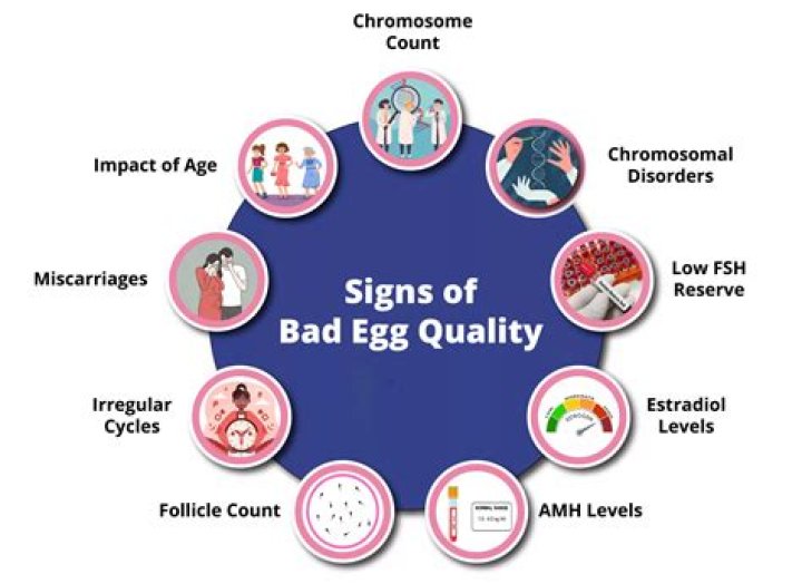What are the symptoms of poor egg quality?