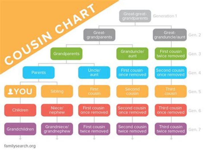 What is a 7th cousin?