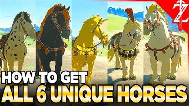 What is Link's horse's name in Botw?