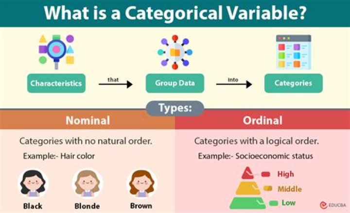 What is not categorical data?