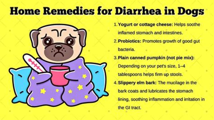 What is the best natural remedy for diarrhea?