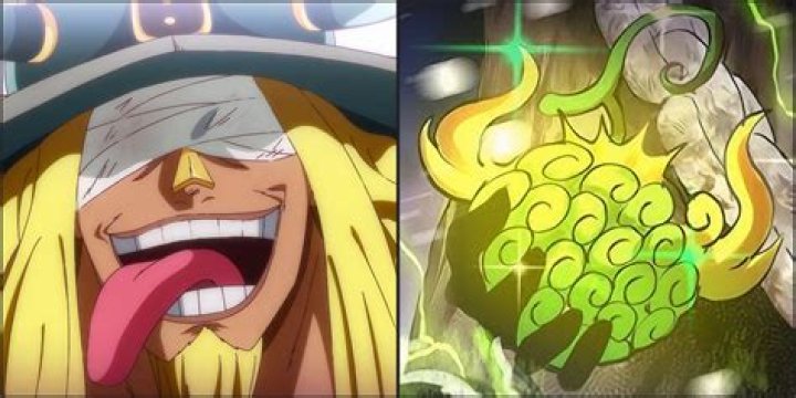 What is the most useless fruit in One Piece?