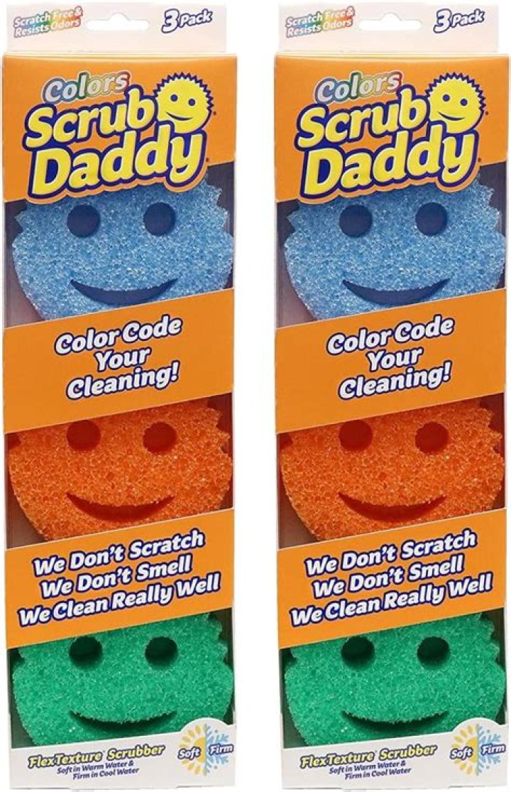 What percent of Scrub Daddy does Lori own?