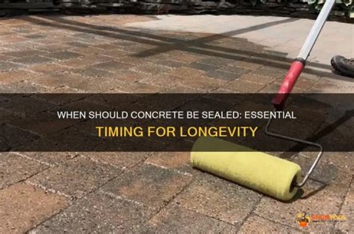 When should concrete be sealed?