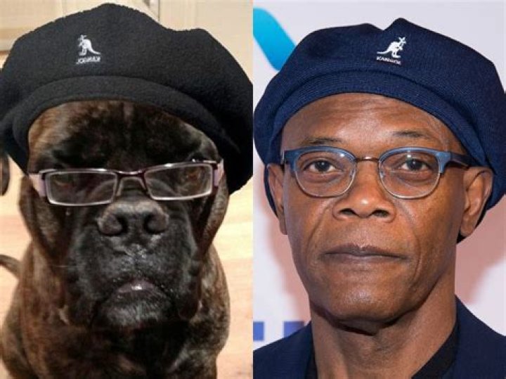 Who is the most famous animal actor?